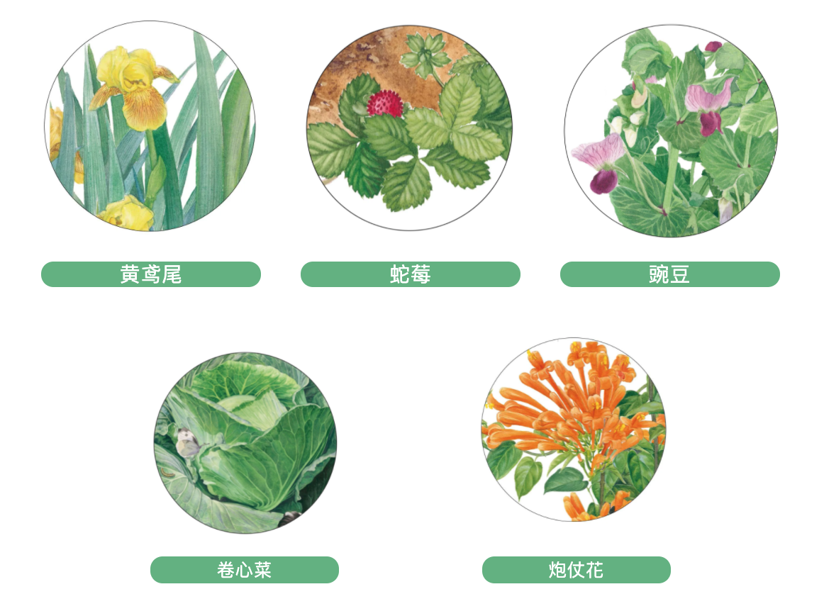 截圖 2021-04-23 下午3.03.19.png