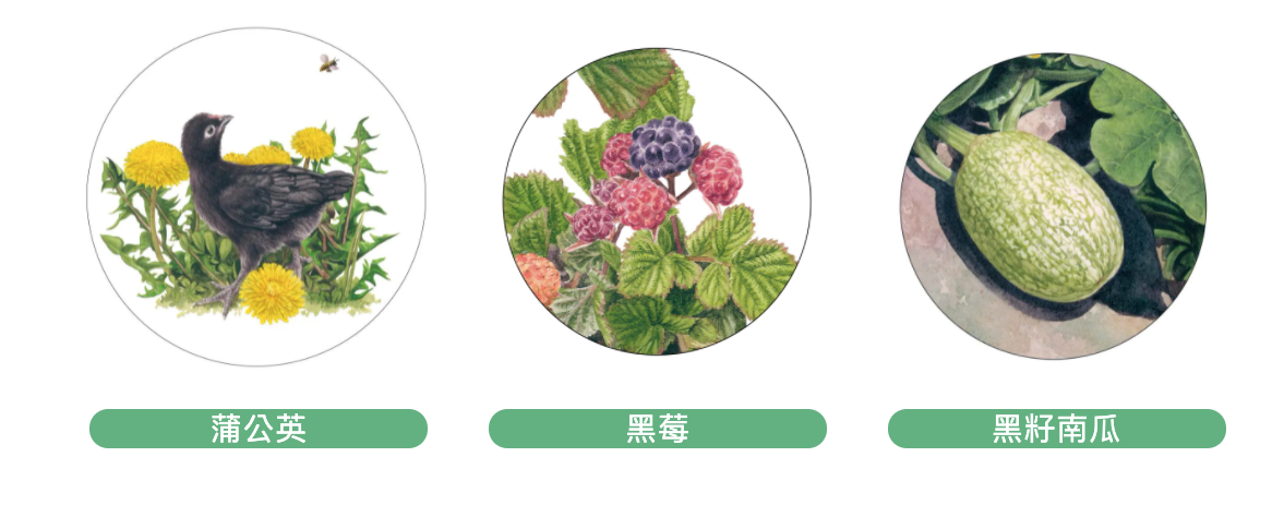 截圖 2021-04-23 下午3.03.50.png